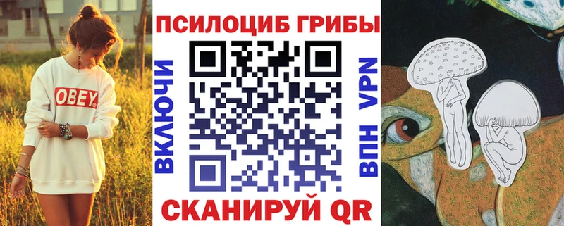 Галлюциногенные грибы GOLDEN TEACHER  что такое наркотик  Цивильск 